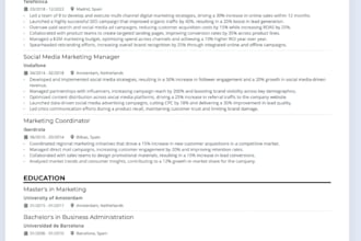 do professional CV design and resume design