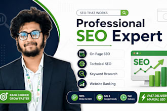 do professional SEO for your website