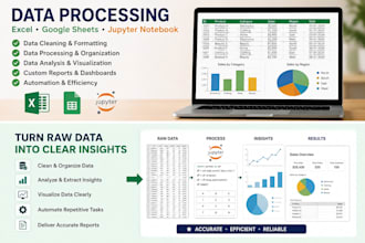 clean and process and analyze data professionally