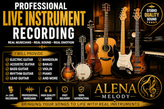 provide live instrument mandolin banjo violin piano or bass guitar for your song