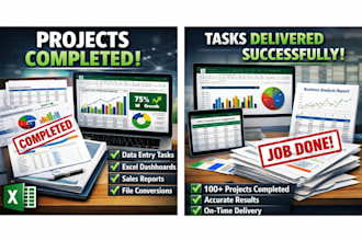 provide accurate data entry and professional excel services