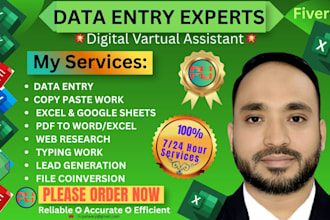 do work data entry, copy paste and web research