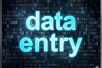 data entry data entry for website