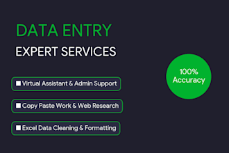 do professional data entry and copy paste work