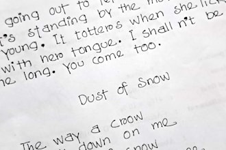 writing anything on my beautiful handwriting skill