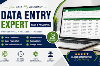 do accurate excel data entry and spreadsheet works