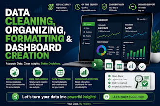 clean, organize excel data and create professional dashboards