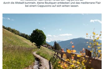 write and design professional newsletters for hopitality