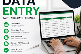 do fast and accurate data entry and copy paste work