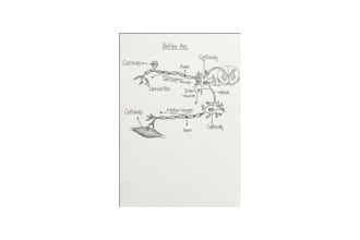 do  neat handwriting biology  and chemistry diagrams