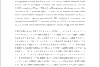 translate english to japanese accurately