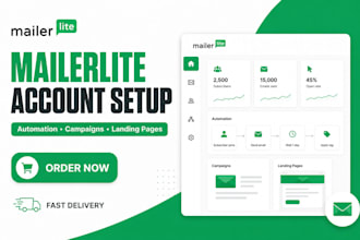 set up mailerlite automation campaign sales page