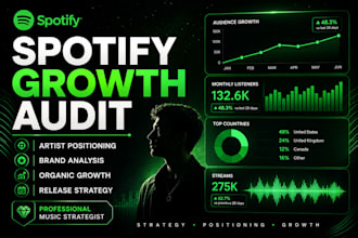 audit your spotify growth and improve your artist positioning