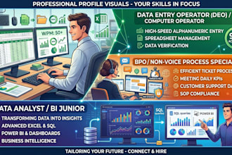 doing data entry and data analytics works