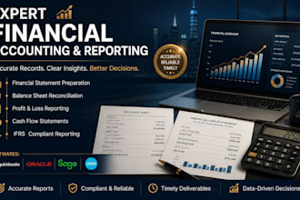 do financial accounting and bookkeeping professionally
