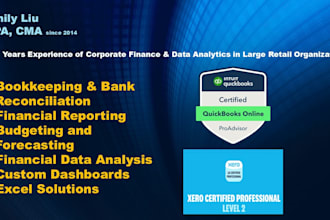 provide expert bookkeeping clean up and reporting in quickbooks and xero