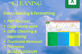 do professional excel data entry and data cleaning