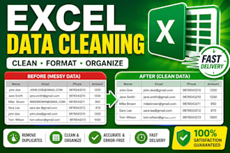 clean and format messy excel data professionally