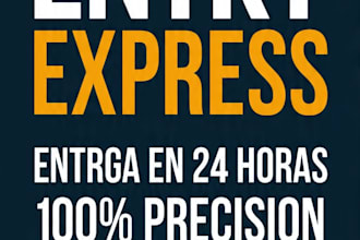 do professional data entry, bank reconciliation and excel organization in 24h