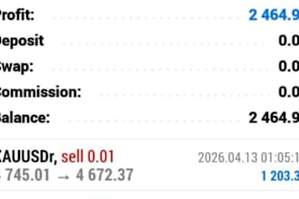 set up forex trading bot, automated trading bot, forex trading robot