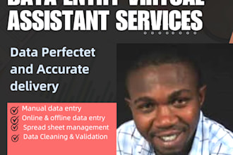 do data entry virtual assistant