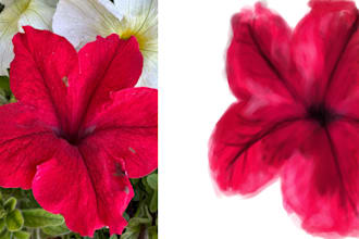 design art flowers of choice