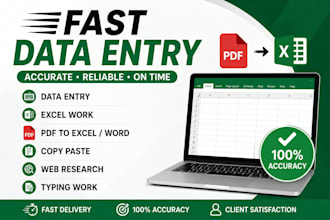 do fast and accurate data entry , typing and excel work