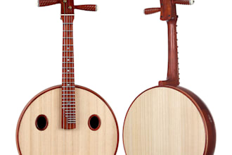 record unique chinese ruan plucked instrument for your track
