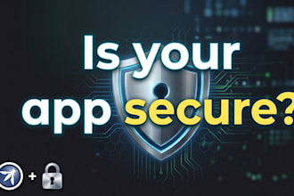 perform a web application security audit and find vulnerabilities before