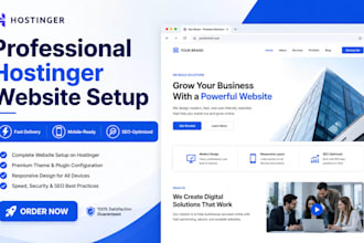 build a professional wordpress website on hostinger with full setup