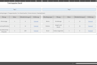 create a personalized workout plan for your fitness goals