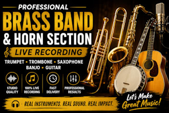 record professional banjo tracks fiddle mandolin and cornet