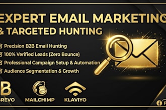 do expert email hunting and marketing with klaviyo and brevo
