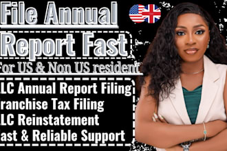 file llc annual report for US llc in florida, wyoming, delaware franchise tax