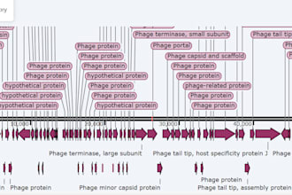 do phage genome analysis and phage genome annotation