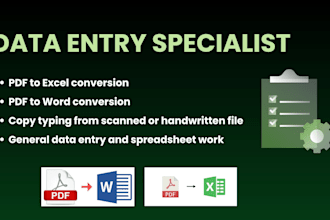 do PDF to excel, PDF to word, data entry and copy typing