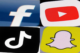 solve instagram, tiktok, facebook unbanning, twitter profile disable issue