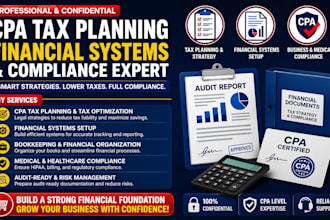 assist with CPA tax planning, financial systems, and medical business compliance