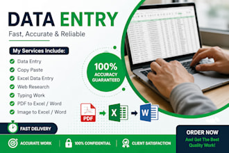 accurate data entry, copy paste, excel and web research