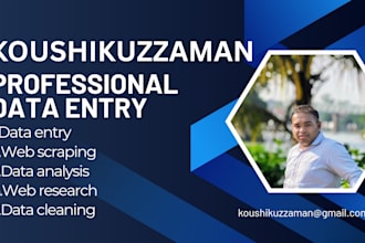 do data entry, typing job, pdf to excel,excel to pdf,google docs,sheets