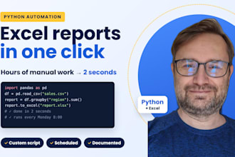 automate excel reports with a custom python script