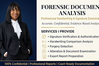 perform professional digital forensic document investigation and analysis