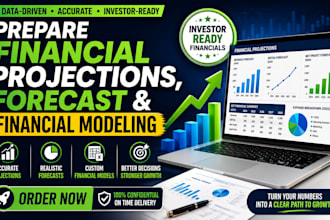 prepare financial projections, forecast and financial modeling