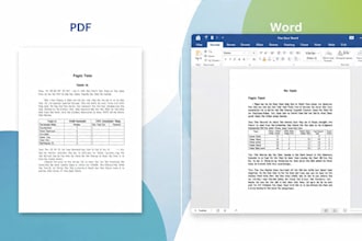 pdf to word typing data entry transcription