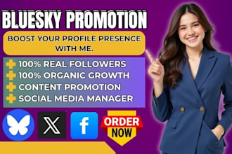 amplify your blue sky account boost bsky presence grow audience organically