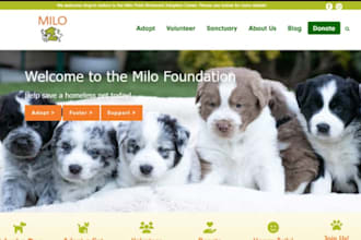 design wix animal shelter websites dog shelter virtual pet adoption website