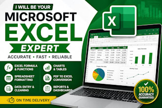 do advanced excel tasks and automation