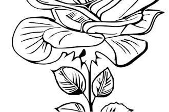 do custom black and grey realistic tattoo design