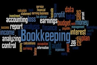 financial statements and typing work