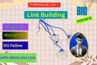 do high pa link building ,manual link building, in USA